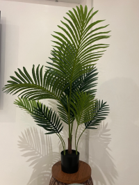 Mini palm