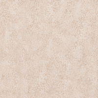 Papier peint MV151202